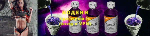 хмурый Лагань