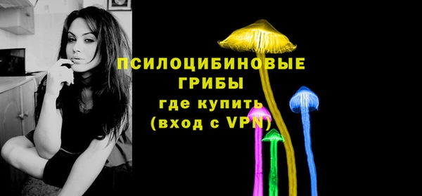 стафф Ладушкин