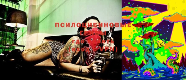 стафф Ладушкин