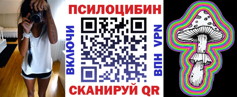 Купить закладки  Краснозаводск  Галлюциногенные грибы прущие грибы 